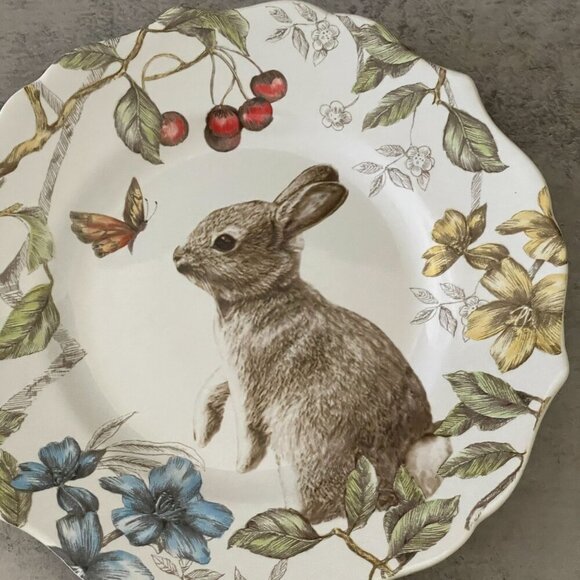 Pier 1 Sofie the Bunny Set of Two 8.75" Salad Plates Rabbit Ceramic Discontinued - Picture 3 of 6
